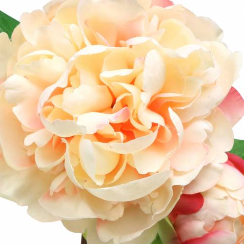 Floristik24 Peonia z kwiatem i pąkiem sztuczna brzoskwinia 70cm