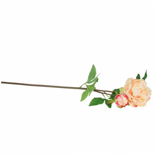 Floristik24 Peonia z kwiatem i pąkiem sztuczna brzoskwinia 70cm