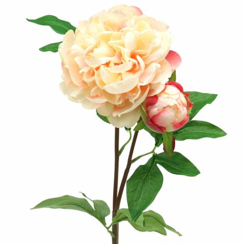 Floristik24 Peonia z kwiatem i pąkiem sztuczna brzoskwinia 70cm