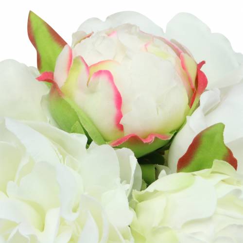 Floristik24 Pęczek piwonii biały/różowy 27cm 6szt