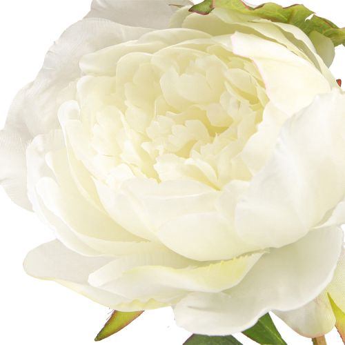 Produkt Sztuczne Piwonie z 3 Kwiatami Biały Krem 81cm 2szt