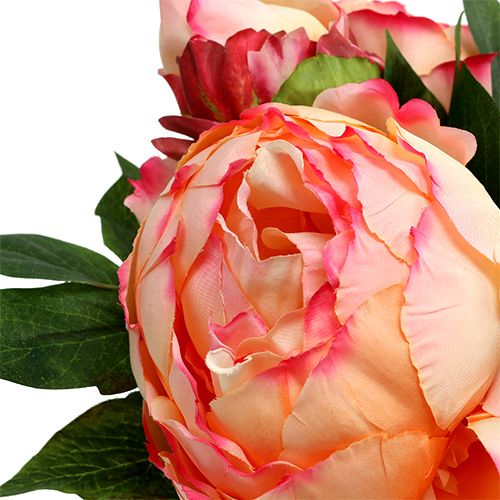 Floristik24 Bukiet Peonii Brzoskwinia 30cm