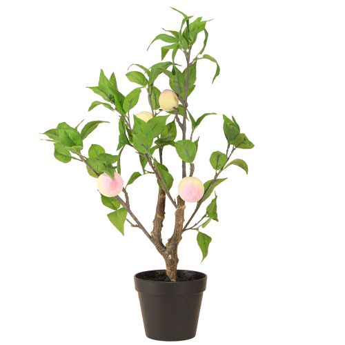 Produkt Brzoskwinia w doniczce z 4 owocami Sztuczna H53cm
