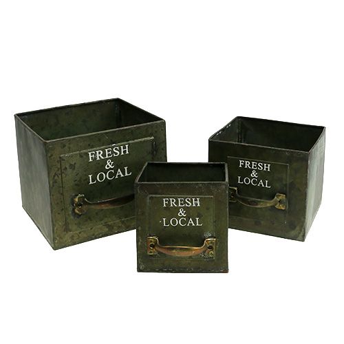 Floristik24 Roślina Szuflada Blacha Zestaw 3 Antyczna Zieleń