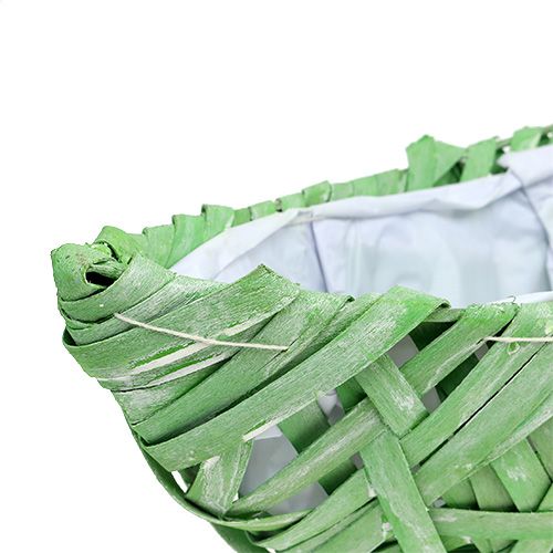 Floristik24 Roślina łódź zielona 37cm x 13cm H13,5cm