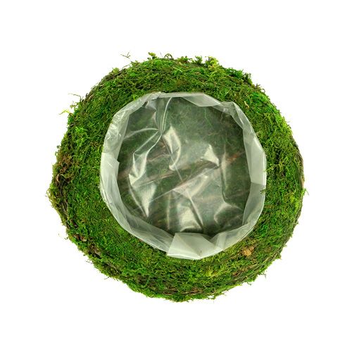 Floristik24 Misa na rośliny gałęzie mech Ø20cm