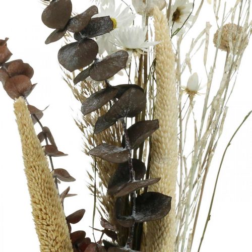 Floristik24 Bukiet suszonych kwiatów z białym eukaliptusowym pudełkiem DIY H30-35cm