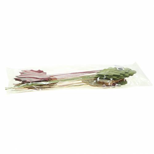 Plant Plug Leaf 8-10cm Nature/Green/Purple 24szt
