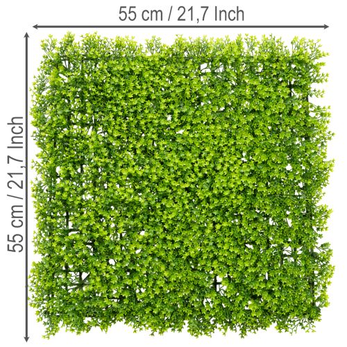Mata z bukszpanu sztucznego 55x55 cm do dekoracyjnej aranżacji ściennej | Floristik24.pl