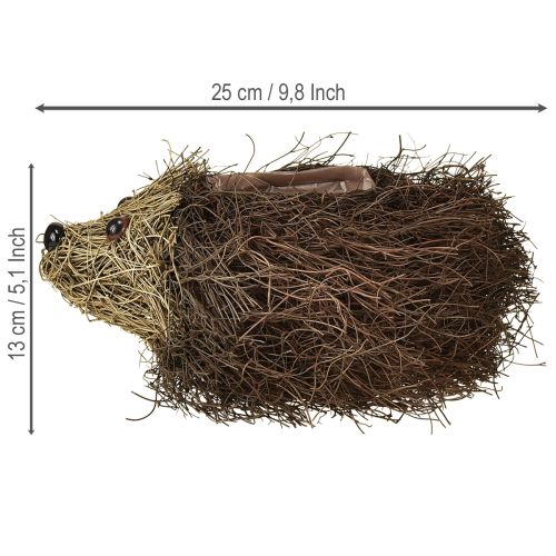 Produkt Doniczka w kształcie jeża z pnączy 22cm x 25cm