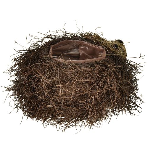 Produkt Doniczka w kształcie jeża z pnączy 22cm x 25cm