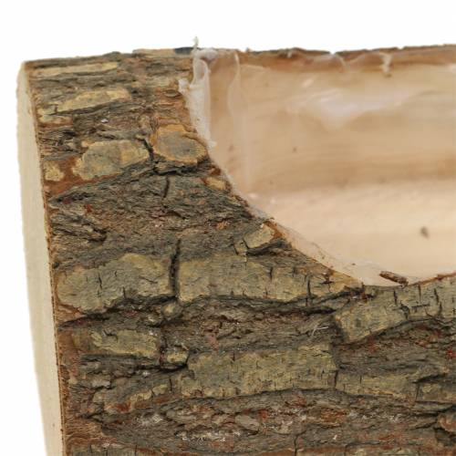 Floristik24 Sadzarka z drewna wiązowego 20cm x 11cm H9cm