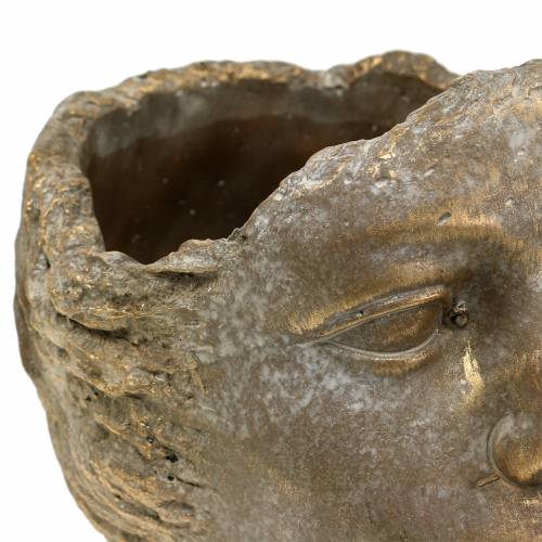Floristik24 Planter Head Popiersie Złote H20cm