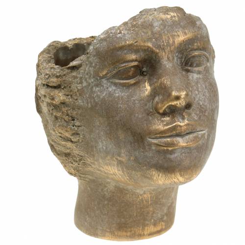 Floristik24 Głowa popiersie złota H24cm