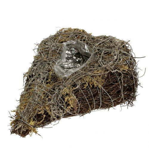 Floristik24 Serce roślinne z winorośli i porostów natura 25cm x 19cm