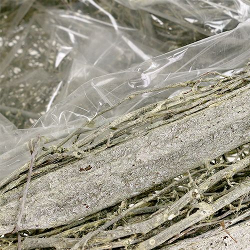 Floristik24 Serce rośliny zielone myte L25cm W20cm