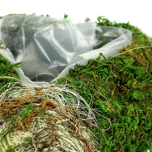 Floristik24 Mech roślinny serce 35cm x 25cm