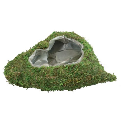 Floristik24 Serce roślinne Zielony mech Miska na rośliny serce 26×30×8cm