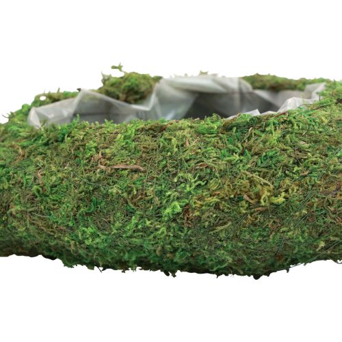 Floristik24 Serce roślinne Zielony mech Miska na rośliny serce 26×30×8cm