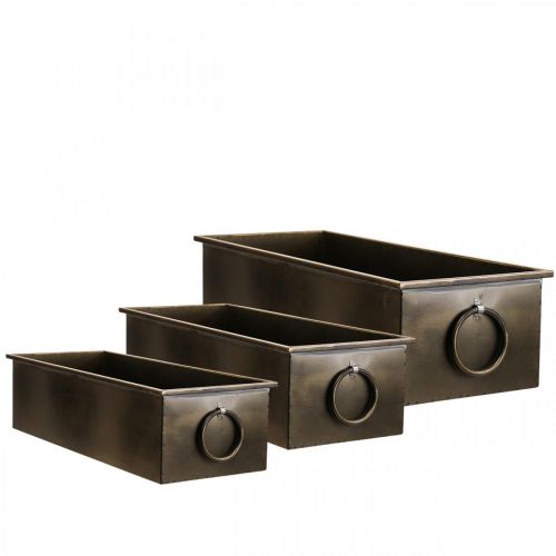 Floristik24 Doniczka metalowa Flower Box Mosiądz 59/53/47cm Zestaw 3 sztuk