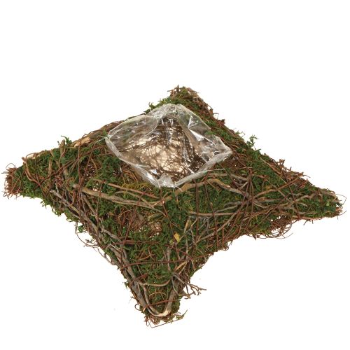 Poduszka na rośliny z mchu i winorośli, naturalna, 20×20×6,5 cm