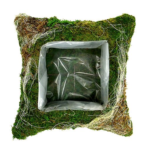 Floristik24 Poduszka roślinna mech 25cm x 25cm 2szt.