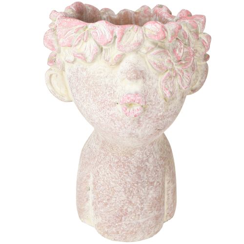 Roślina głowa buziak usta popiersie do sadzenia różowy 18cm 3 szt