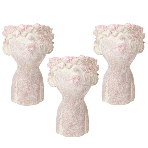 Produkt Roślina głowa buziak usta popiersie do sadzenia różowy 18cm 3 szt