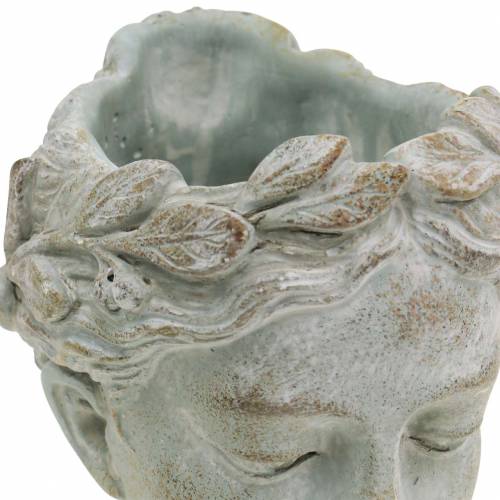 Produkt Popiersie rośliny szaro-niebieskie Ø8cm H15cm