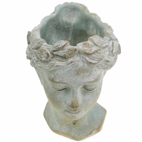 Produkt Popiersie rośliny szaro-niebieskie Ø8cm H15cm