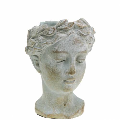 Produkt Popiersie rośliny szaro-niebieskie Ø8cm H15cm