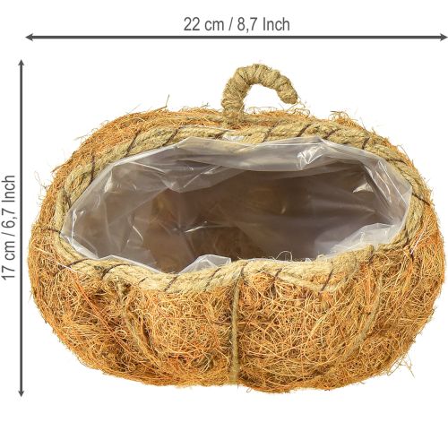 Produkt Koszyczek na rośliny dynia jesienna ozdoba pomarańczowa Ø22cm wys.17cm