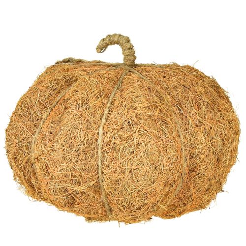 Produkt Koszyczek na rośliny dynia jesienna ozdoba pomarańczowa Ø22cm wys.17cm