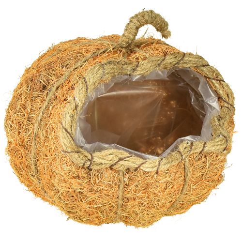 Koszyczek na rośliny dynia z folią, dekoracja jesienna pomarańczowa Ø18cm H15cm