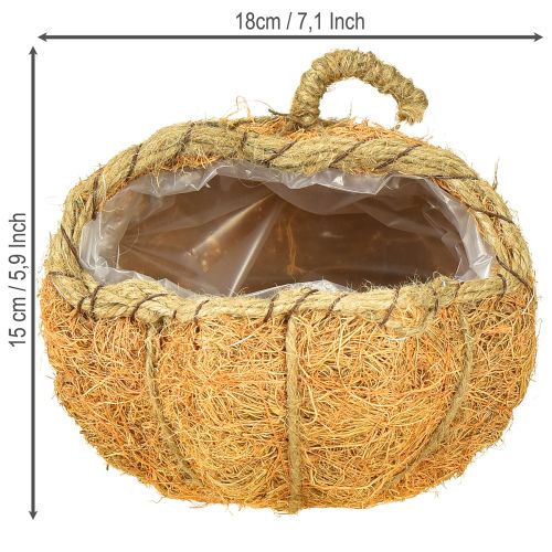 Produkt Koszyczek na rośliny dynia z folią, dekoracja jesienna pomarańczowa Ø18cm H15cm