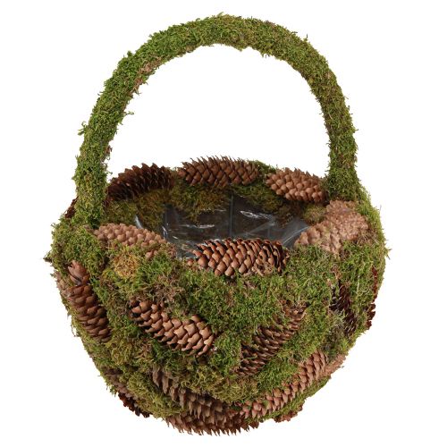Floristik24 Kosz na rośliny Kosz z szyszek mchu z uchwytem Ø32cm W42cm