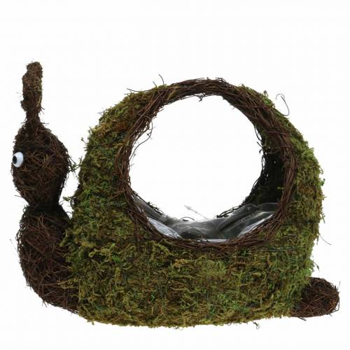 Floristik24 Planter Snail Moss Brown 29x13cm H23cm