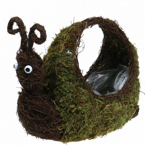 Planter Snail Moss Brown 29x13cm H23cm