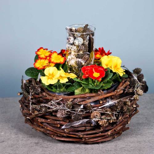 Floristik24 Kosz na rośliny Gałęzie Winorośl Natura Ø36cm H16cm
