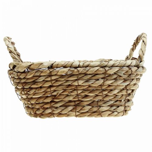 Floristik24 Kosz na rośliny kosz z trawy morskiej z uchwytami owalna dekoracja 23×13×9cm