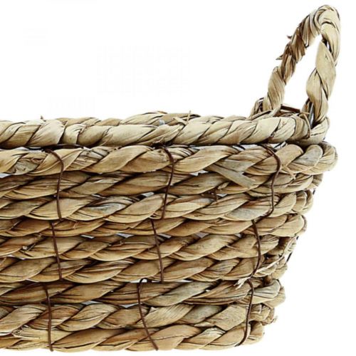Floristik24 Kosz na rośliny kosz z trawy morskiej z uchwytami owalna dekoracja 23×13×9cm