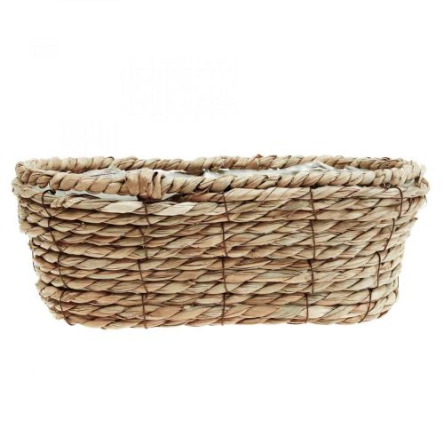 Floristik24 Kosz na rośliny kosz z trawy morskiej owalny kosz ozdobny 28×15×10cm