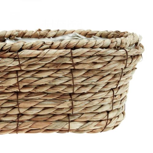 Floristik24 Kosz na rośliny kosz z trawy morskiej owalny kosz ozdobny 28×15×10cm