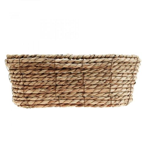 Floristik24 Kosz na rośliny kosz z trawy morskiej owalny kosz ozdobny 32×19×12cm
