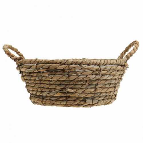 Floristik24 Kosz na rośliny okrągły kosz z trawy morskiej z uchwytami ozdobny kosz Ø25cm W9cm