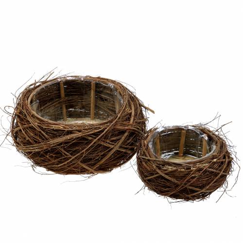 Floristik24 Kosz na rośliny winorośli i gałązki naturalne Ø37/28cm, zestaw 2