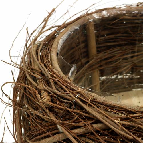 Floristik24 Kosz na rośliny winorośli i gałązki naturalne Ø37/28cm, zestaw 2