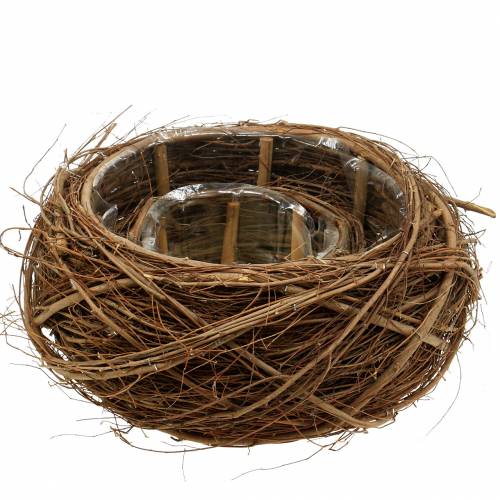 Floristik24 Kosz na rośliny winorośli i gałązki naturalne Ø37/28cm, zestaw 2