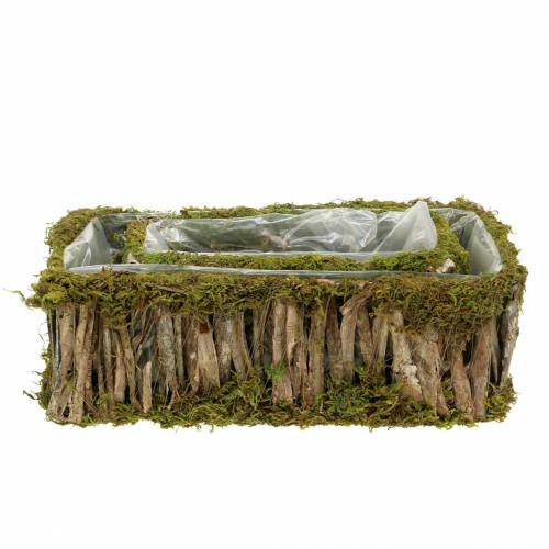 Floristik24 Kosz na rośliny kątowy mech, kora 34×15,5/24,5×11cm zestaw 2 szt.
