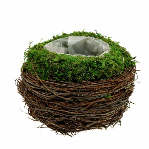 Floristik24 Rattan miska na rośliny, mech Ø16cm W11cm